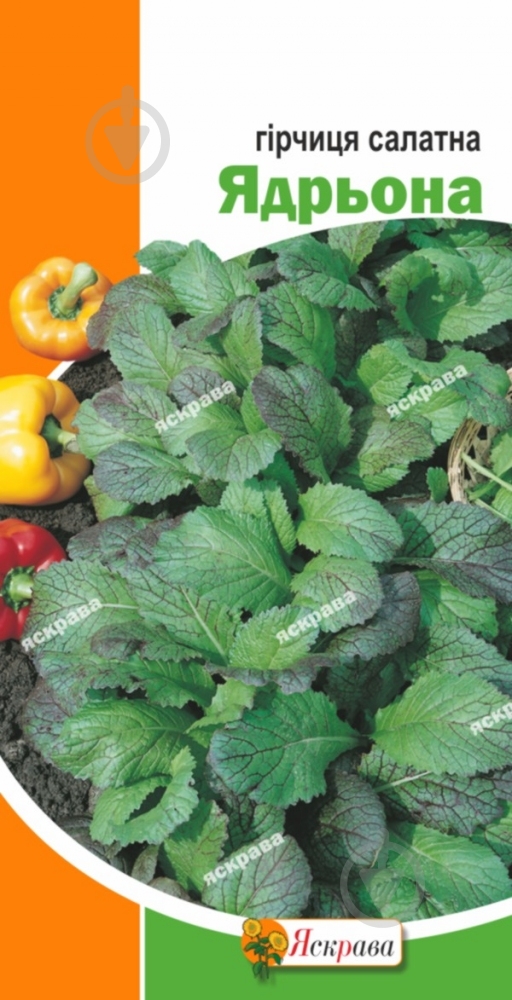 Семена Яскрава горчица салатная Ядрена 2 г (4823069810511) - фото 1