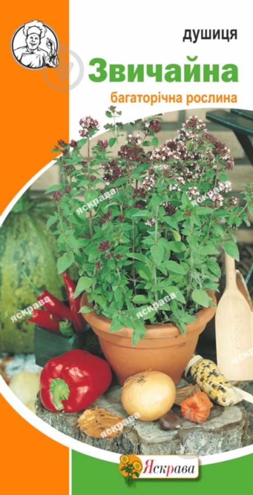 Семена Яскрава душица обыкновенная 0,1 г - фото 1