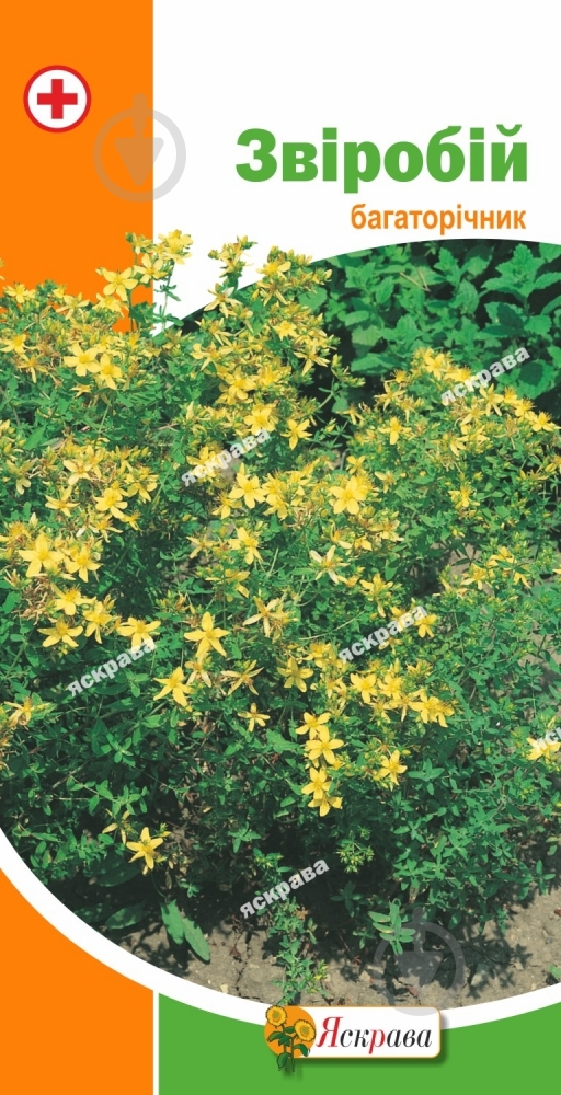 Семена Яскрава зверобой 0,2 г - фото 1