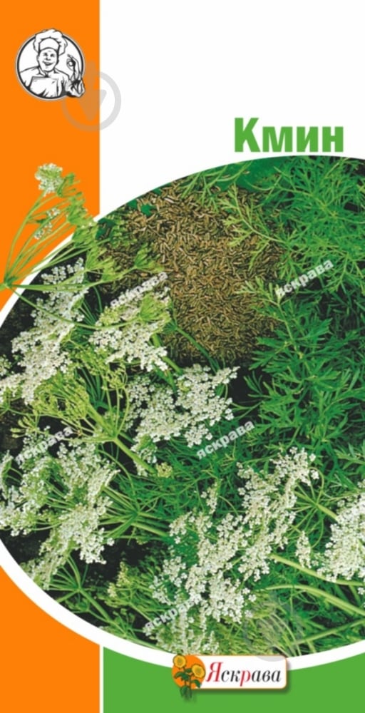 Семена Яскрава тмин 2 г (4823069802295) - фото 1 Семена Яскрава тмин 2 г (4823069802295) - фото 1