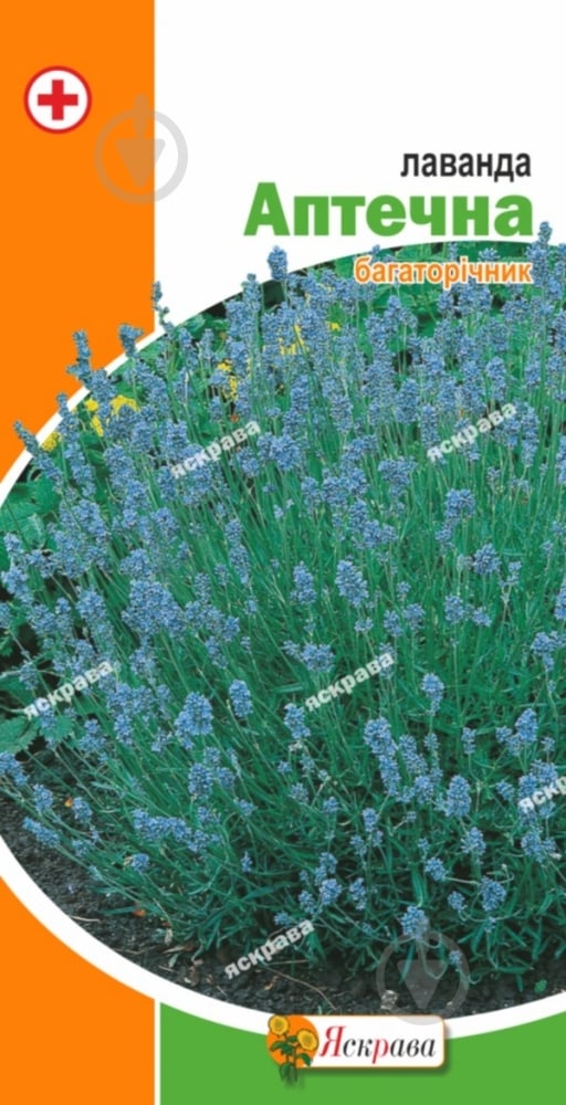 Семена Яскрава лаванда Аптечная 0,1 г - фото 1