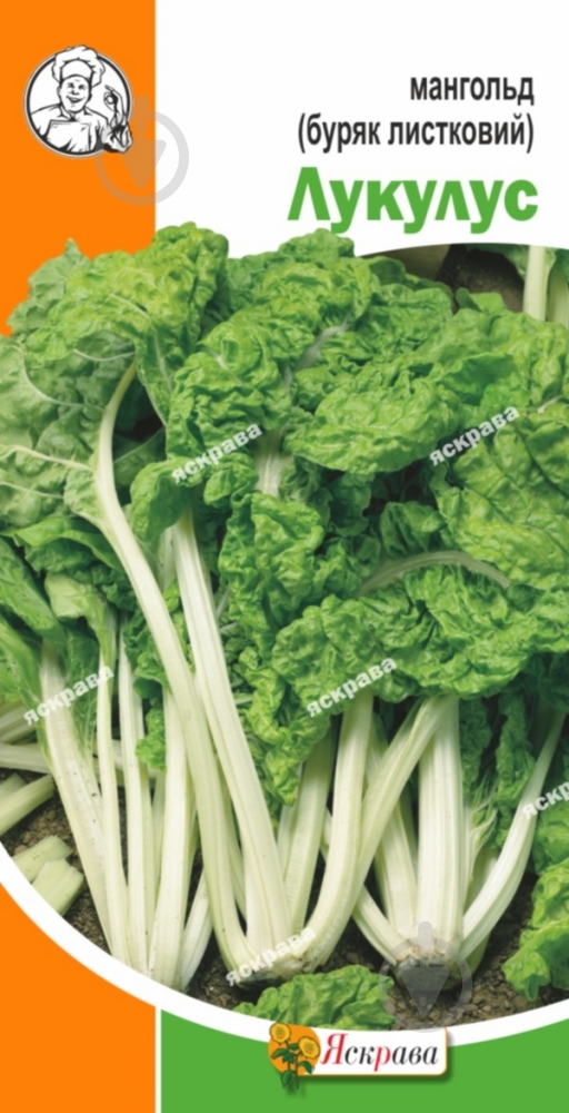 Семена Яскрава мангольд Лукулус 2 г (4823069802189) - фото 1