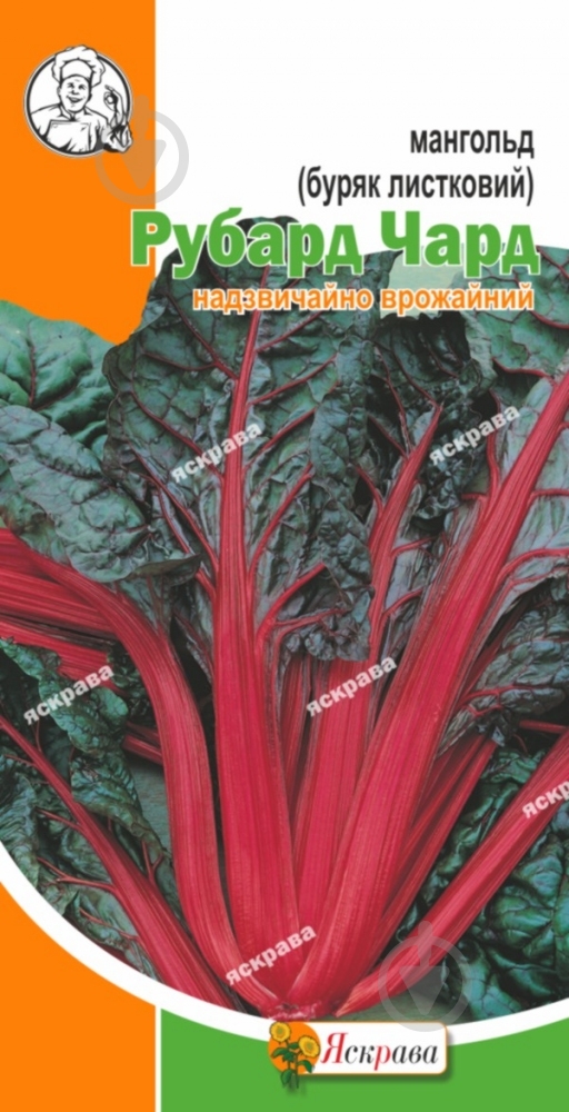 Насіння мангольд Рубард Чард 1,5 г Яскрава - фото 1 Насіння мангольд Рубард Чард 1,5 г Яскрава - фото 1