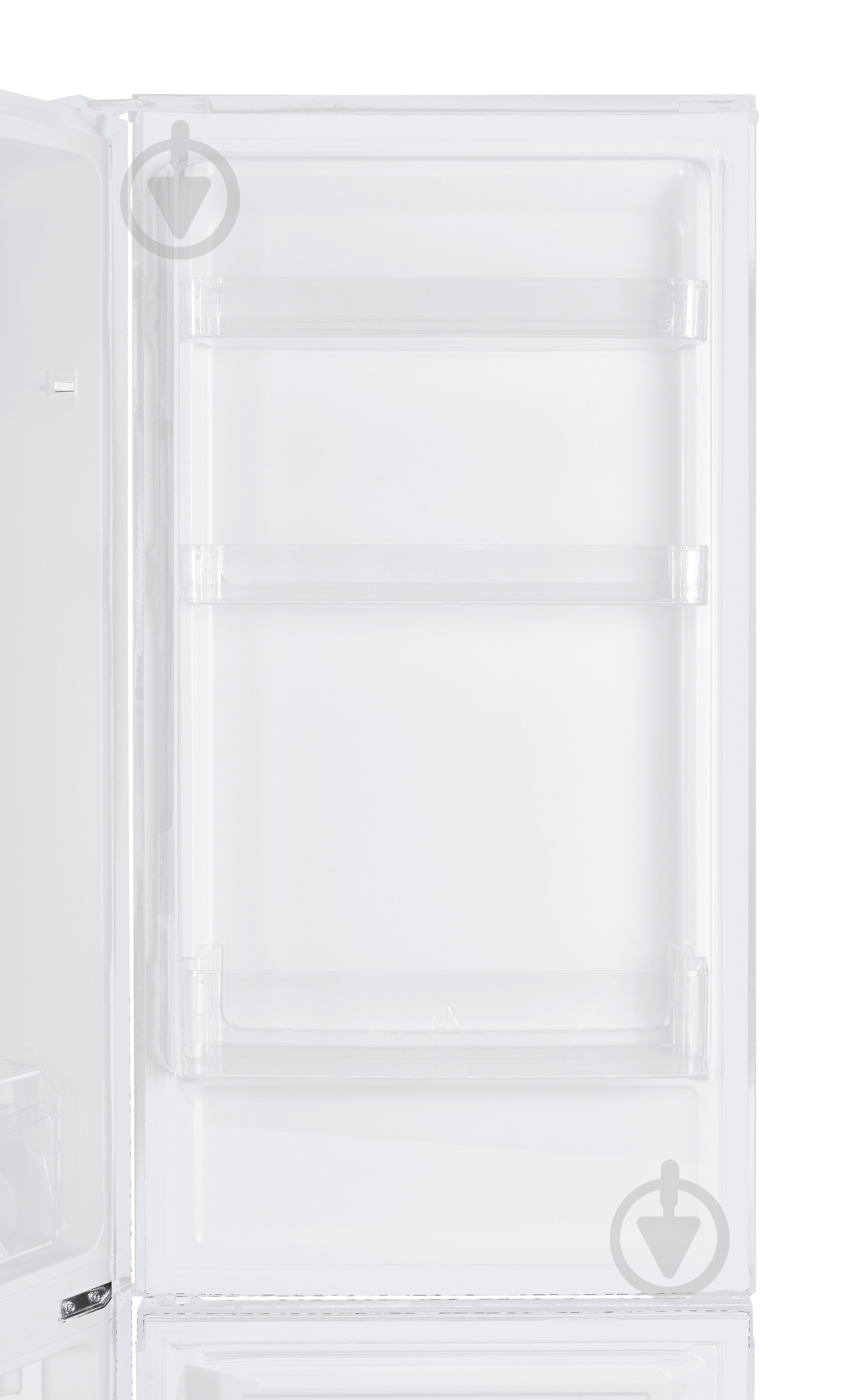 Холодильник Candy CCH1T518FW - фото 12