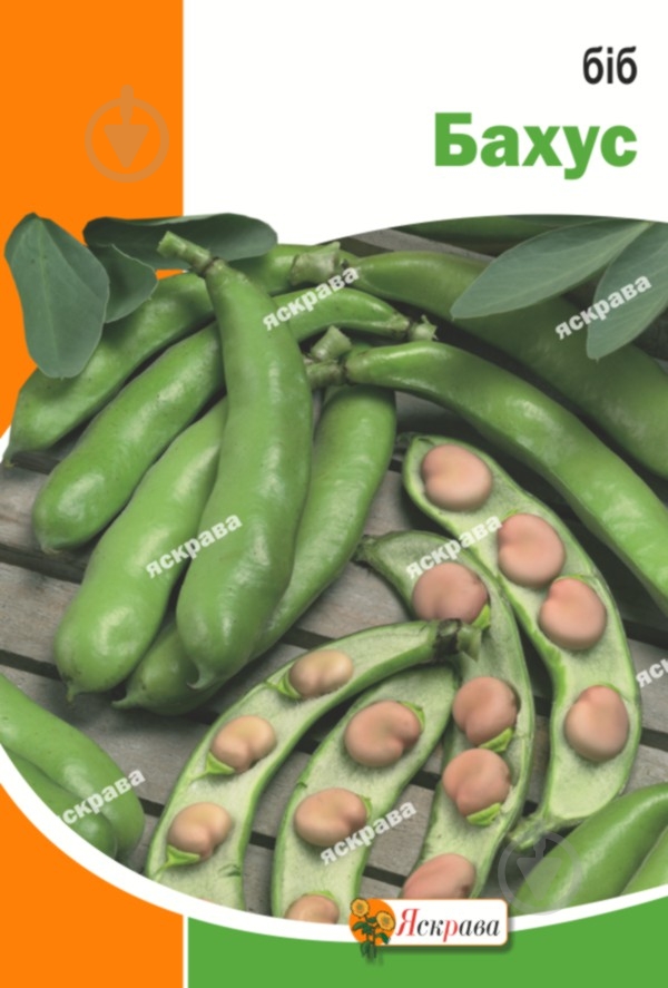 Семена Яскрава боб Бахус 20 г (4823069912864) - фото 1