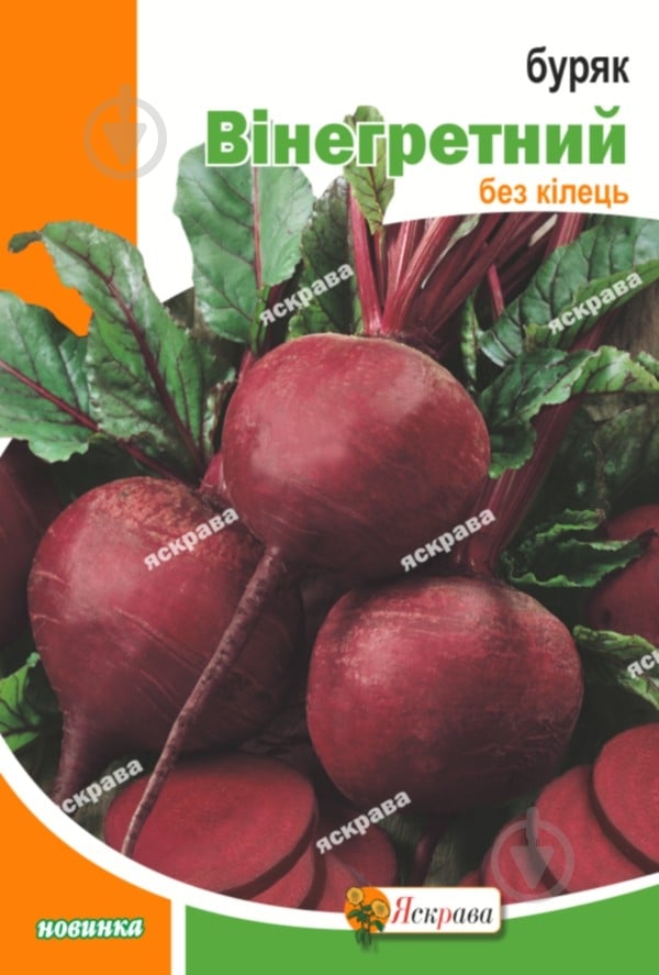 Семена свекла Винегретная 20 г Яскрава - фото 1