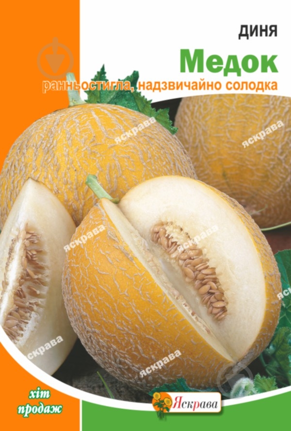 Насіння Яскрава диня Медок 10 г (4823069899158) - фото 1 Насіння Яскрава диня Медок 10 г (4823069899158) - фото 1