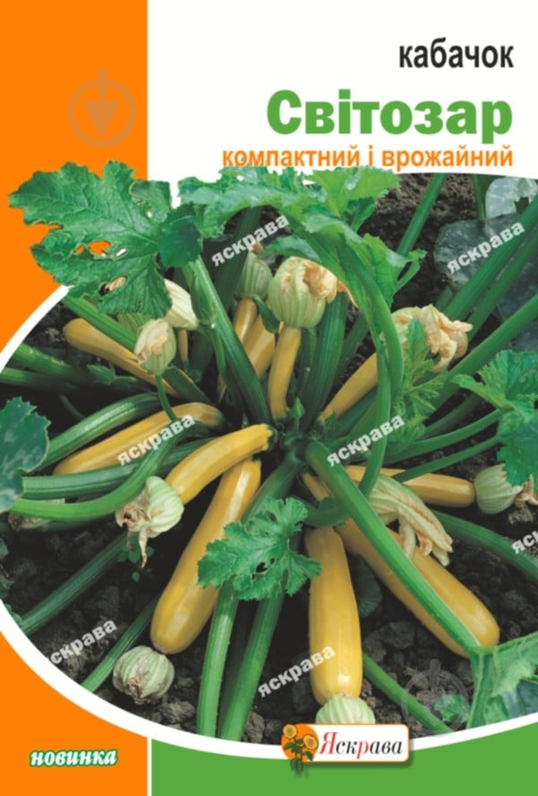 Насіння Яскрава кабачок Світозар 20 г (4823069810689) - фото 1