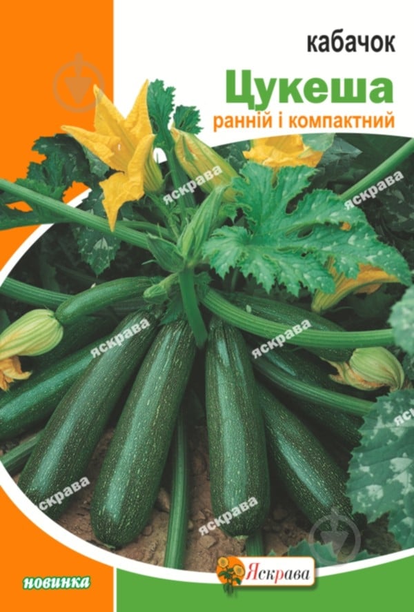 Семена Яскрава кабачок Цукеша 20 г (4823069810696) - фото 1