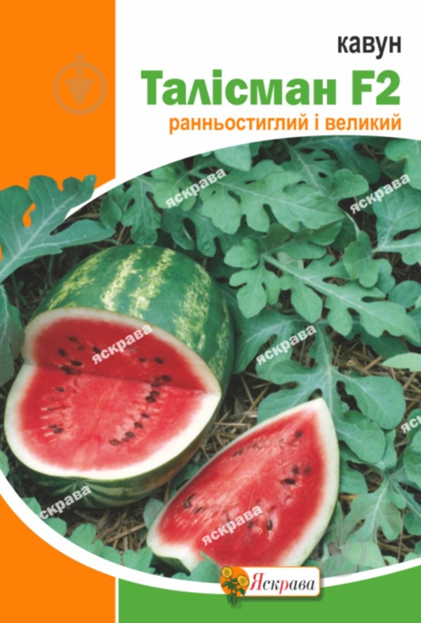 Семена арбуз Талисман F2 10 г Яскрава - фото 1