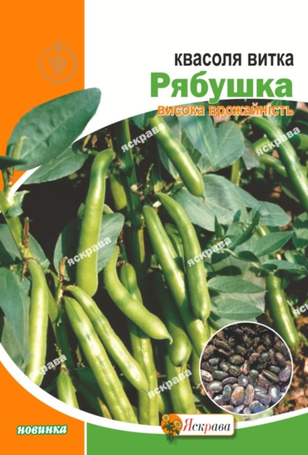 Насіння квасоля Рябушка 30 г Яскрава - фото 1 Насіння квасоля Рябушка 30 г Яскрава - фото 1