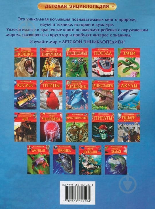 Книга «Киты и дельфины» 978-966-462-720-4 - фото 2