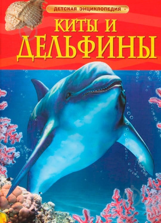 Книга «Киты и дельфины» 978-966-462-720-4 - фото 1