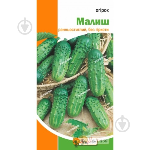 Семена Яскрава огурец Малыш 5 г (4823069912512) - фото 1