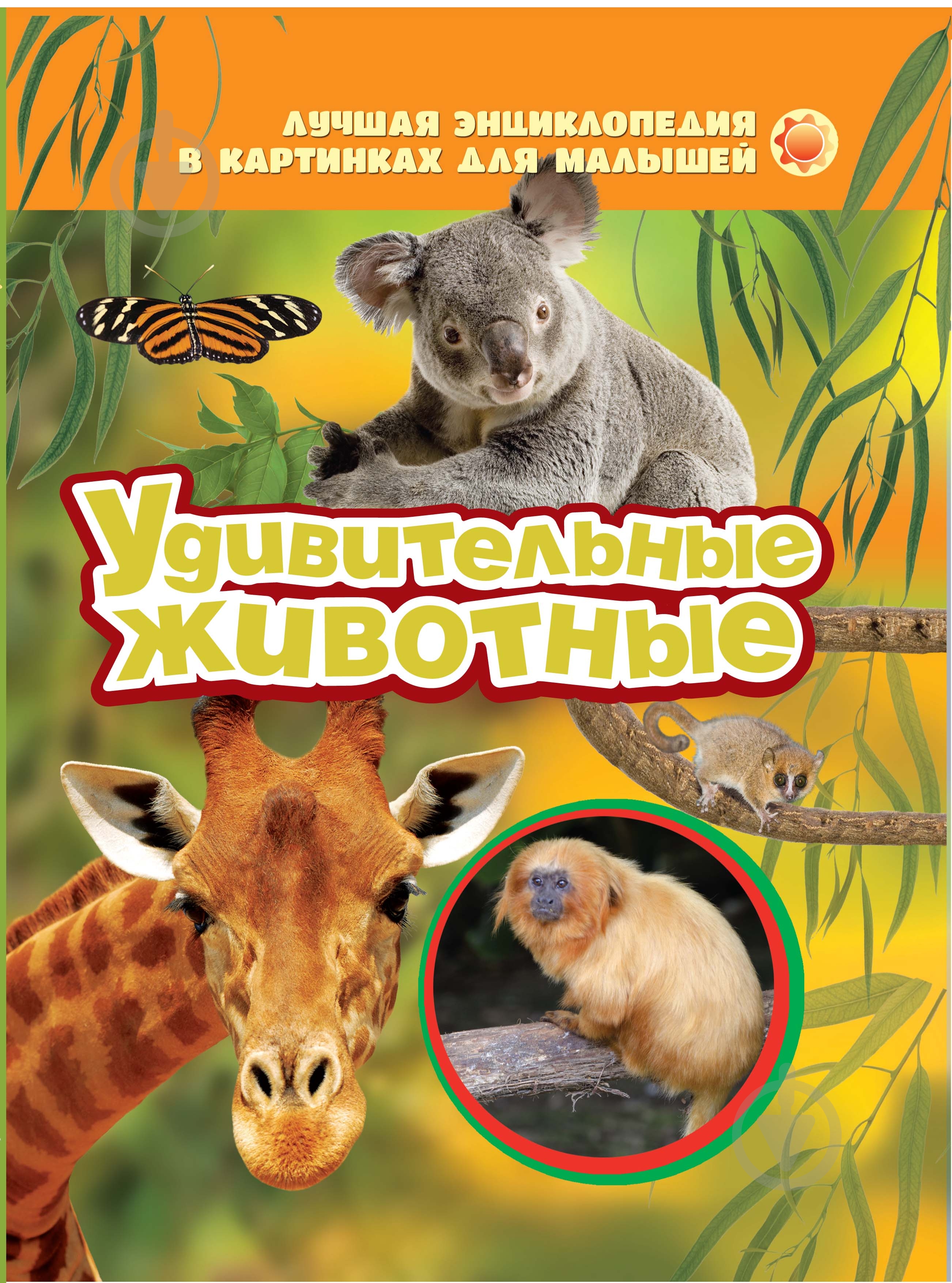 Книга «Удивительные животные» 978-966-462-669-6 - фото 1 Книга «Удивительные животные» 978-966-462-669-6 - фото 1
