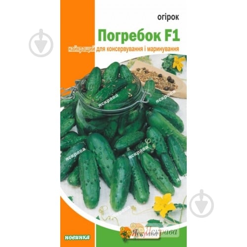 Семена Яскрава огурец Погребок F1 1 г (4823069800932) - фото 1