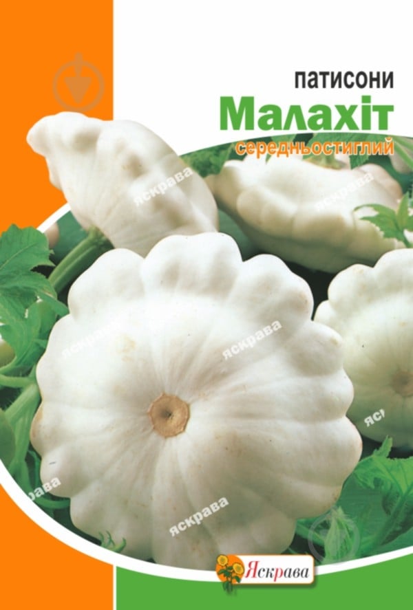 Семена Яскрава патиссон Малахит белый 10 г (4823069907167) - фото 1