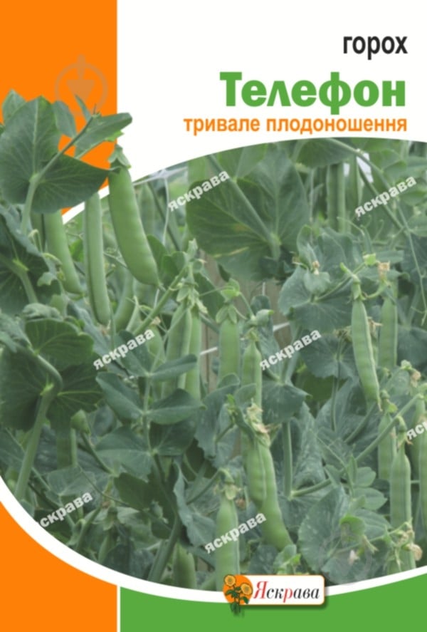 Семена Яскрава горох овощной Телефон 20 г (4823069912192) - фото 1