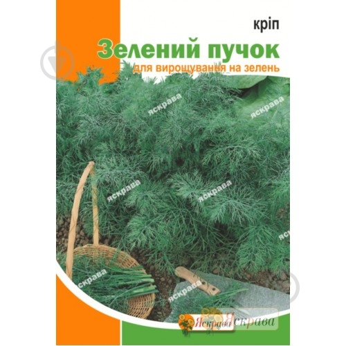 Семена укроп Зеленый пучек 20 г Яскрава - фото 1