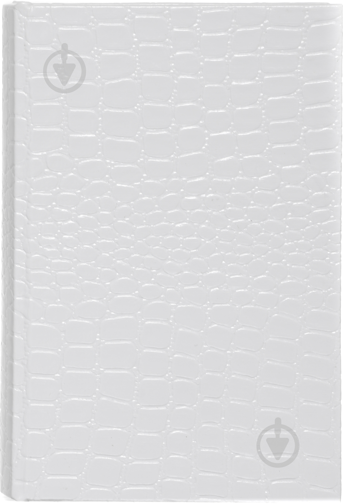 Скринька-книга Wild 16x11x4.5 см - фото 2 Скринька-книга Wild 16x11x4.5 см - фото 2