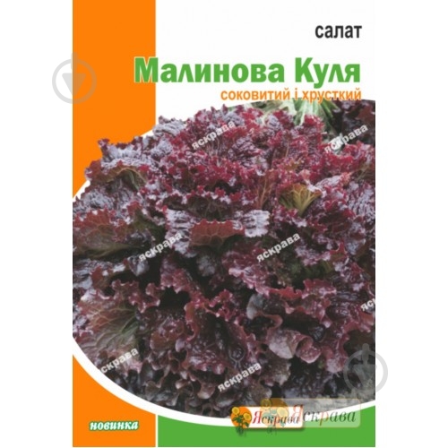 Насіння салат Малинова куля 5 г Яскрава - фото 1 Насіння салат Малинова куля 5 г Яскрава - фото 1