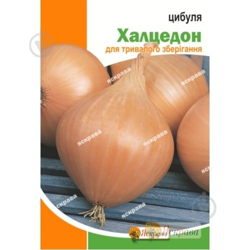 Насіння Яскрава цибуля ріпчаста Халцедон 5 г (4823069912369) - фото 1