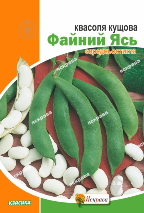 Насіння квасоля Файний Ясь 30 г Яскрава - фото 1