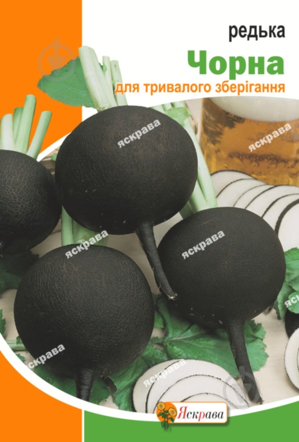 Семена редька Черная зимняя 10 г Яскрава - фото 1 Семена редька Черная зимняя 10 г Яскрава - фото 1