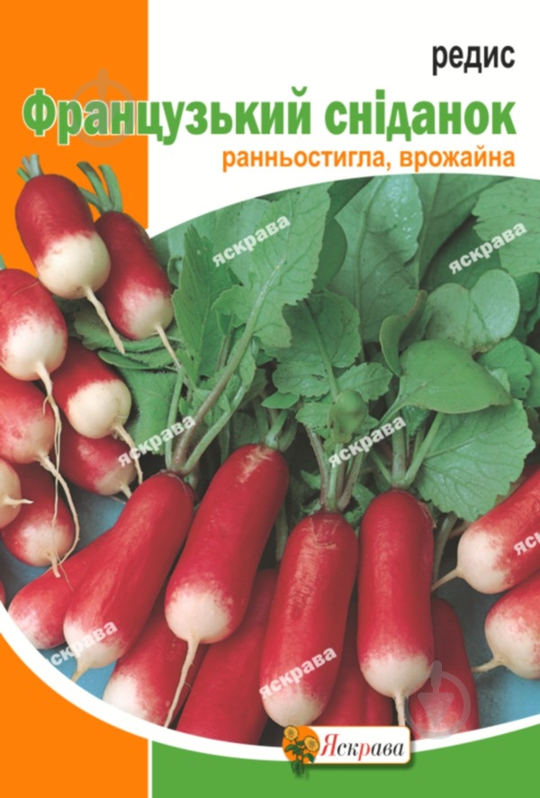 Семена Яскрава редис Французский завтрак 20 г (4823069898489) - фото 1