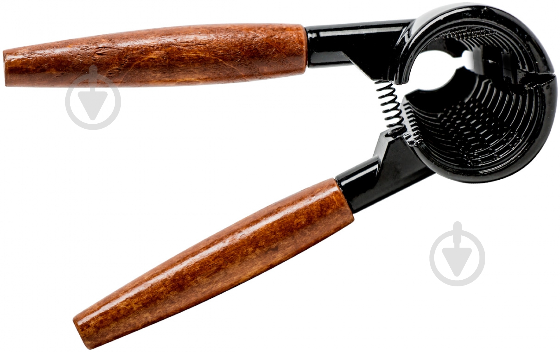 Орехокол чёрный - фото 2