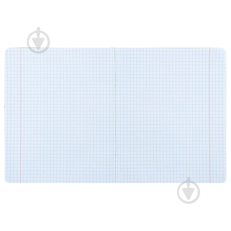 Набор тетрадей 12 лист. клетка Teenage Mutant Ninja Turtles 5 шт. KITE - фото 4 Набор тетрадей 12 лист. клетка Teenage Mutant Ninja Turtles 5 шт. KITE - фото 4