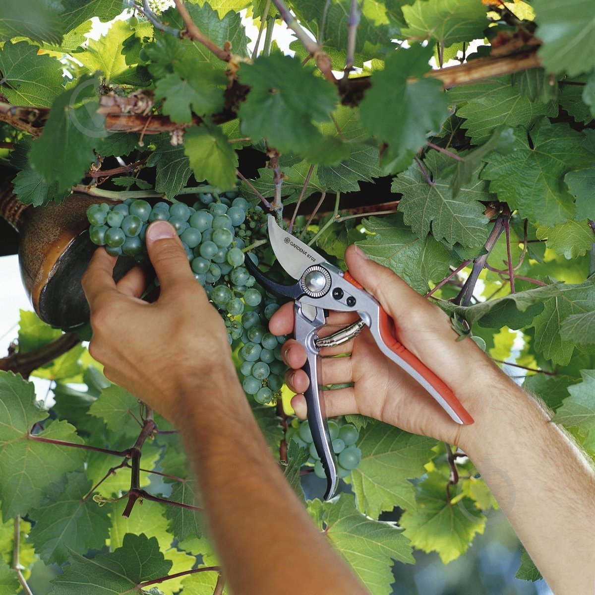 Секатор Gardena ВР30 (8701-20) - фото 4