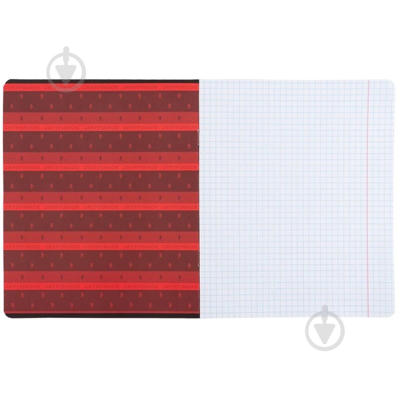 Набір зошитів 18 арк. клітинка Harry Potter 5 шт. KITE - фото 3