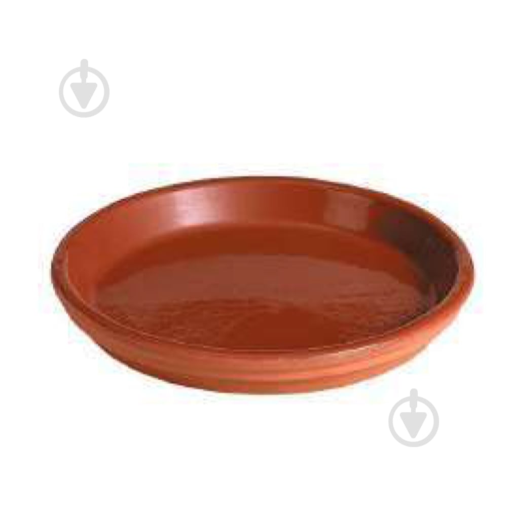 Піддон Terracotta керамика коричневый 36 см (87361QZ) DEROMA - фото 1 Піддон Terracotta керамика коричневый 36 см (87361QZ) DEROMA - фото 1