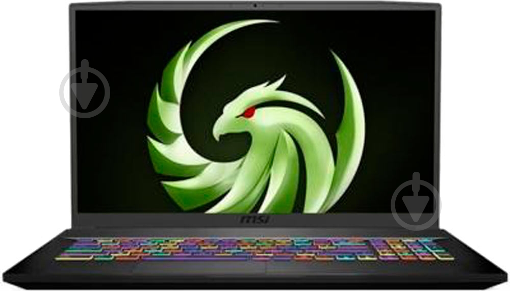 Ноутбук MSI Bravo 17,3 (A4DDK-091XUA) black - фото 1