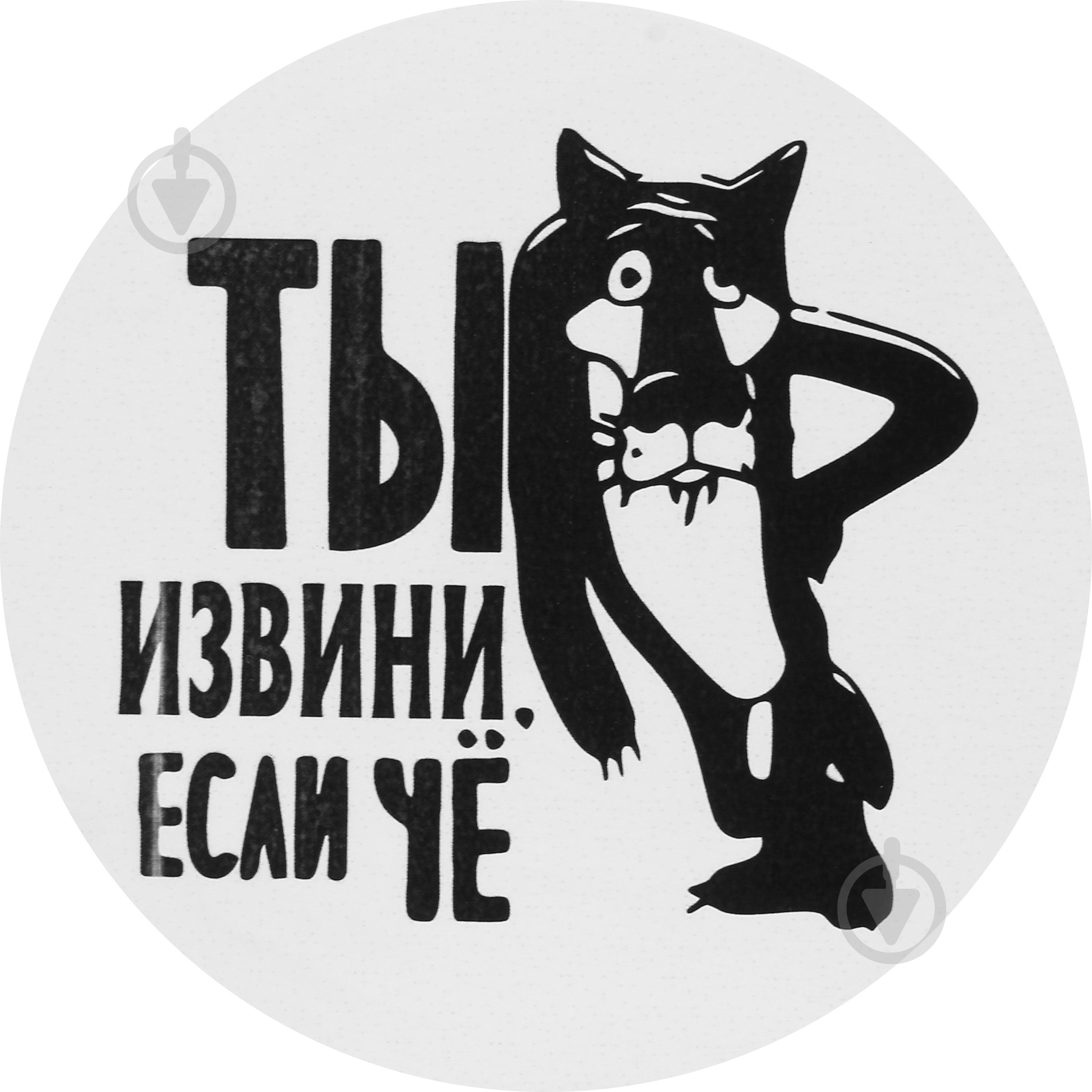 Наклейка TERRAPLUS "Ты извини, если что" - фото 1