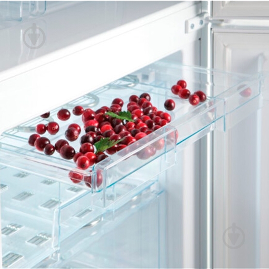 Холодильник Snaige RF56SM-S5RP2F - фото 15 Холодильник Snaige RF56SM-S5RP2F - фото 15