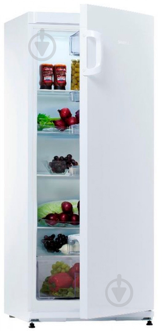Холодильник Snaige C29SM-T1002F - фото 1