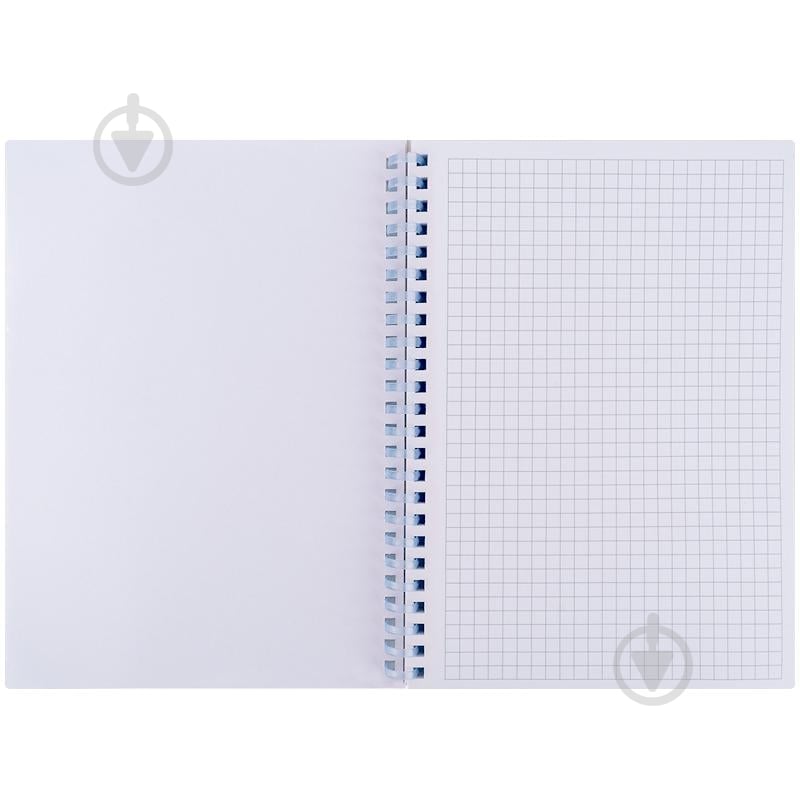 Блокнот Axent А5 80 арк. клітинка OS Gold Cat - фото 3 Блокнот Axent А5 80 арк. клітинка OS Gold Cat - фото 3