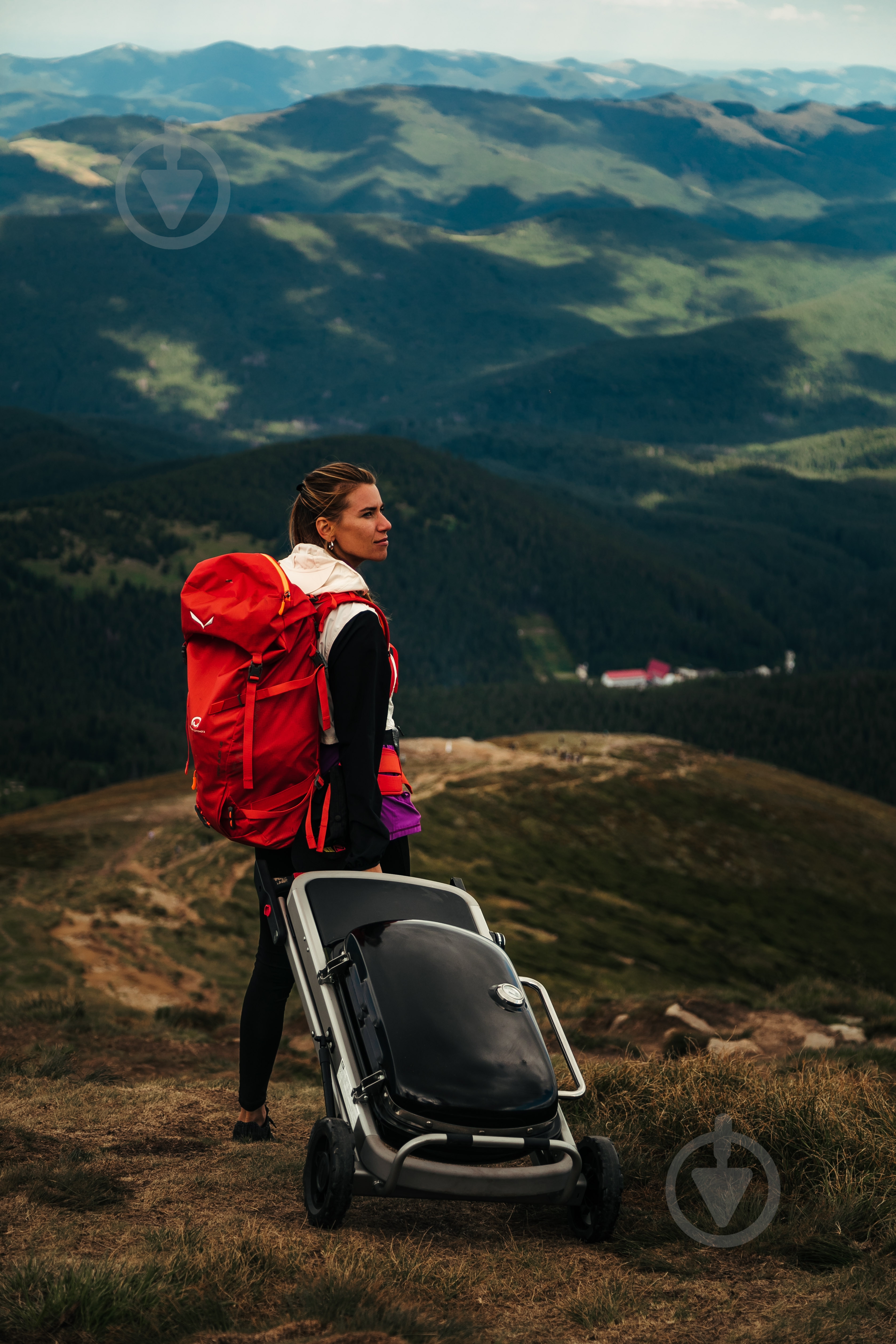 Гриль газовий Weber Traveler 9010075 - фото 11