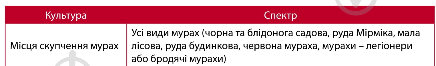 Инсектицид Семейный сад МуравНЕТ 300 г - фото 2 Инсектицид Семейный сад МуравНЕТ 300 г - фото 2