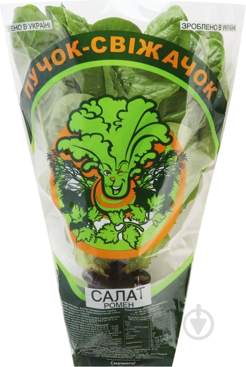 Салат Пучок свіжачок листовой «Ромен» - фото 1 Салат Пучок свіжачок листовой «Ромен» - фото 1