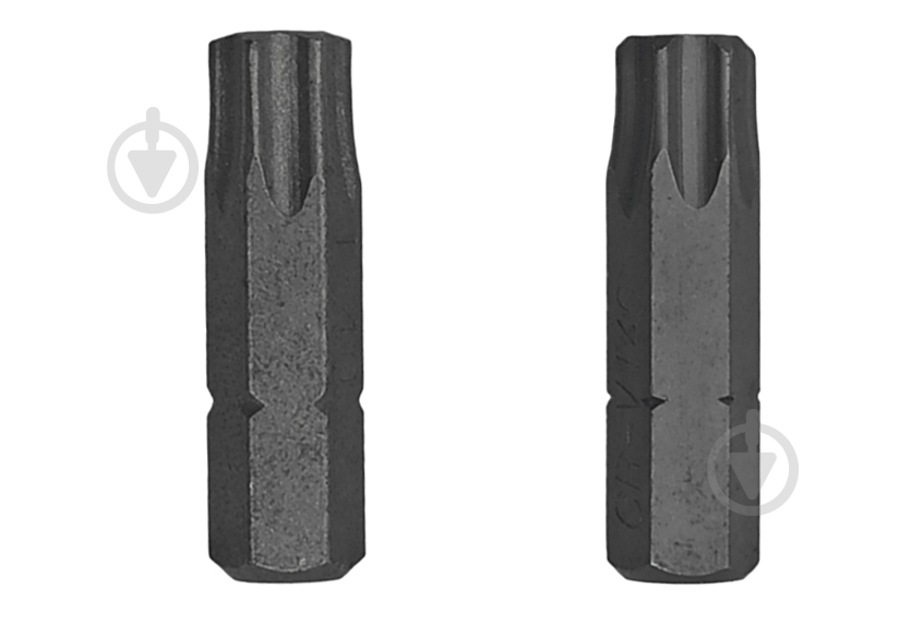 Біта Mayster FIX Torx T40х25 мм 2 шт. 97005006 - фото 1