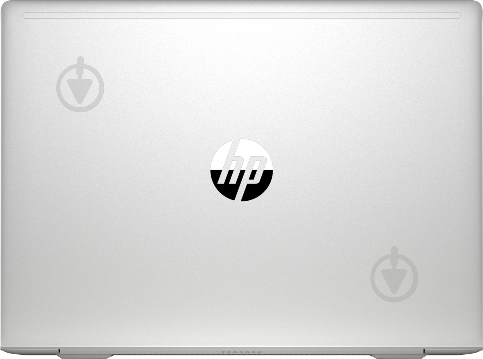 Ноутбук HP ProBook 445R G6 14" (8AC52ES) - фото 2
