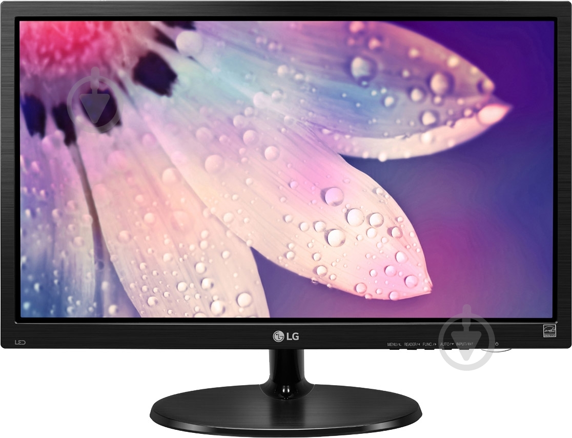 Монитор LG 19,5" (20M38A-B) - фото 1