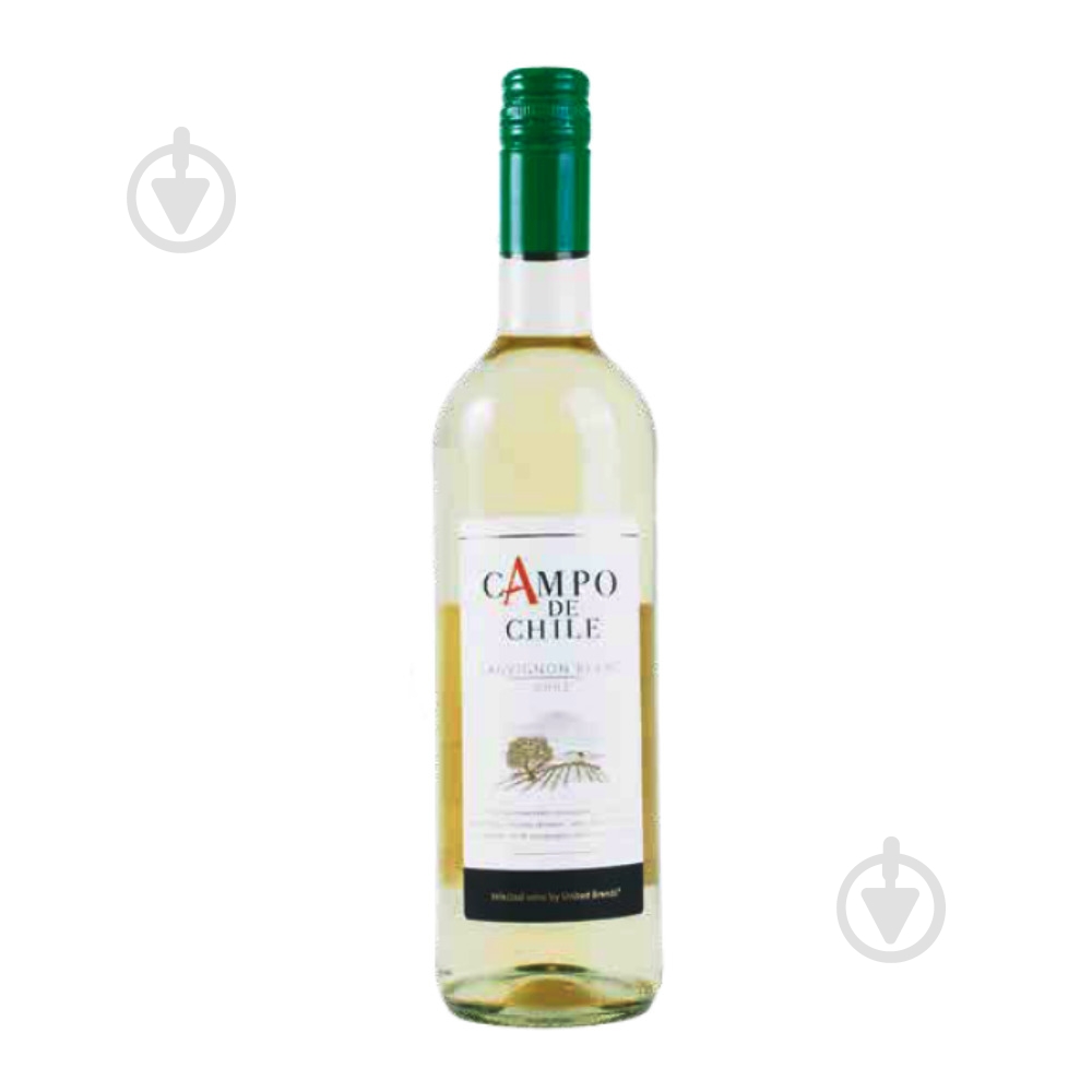 Вино Campo de Chile белое сухое Sauvignon Blanc 750 мл - фото 1 Вино Campo de Chile белое сухое Sauvignon Blanc 750 мл - фото 1