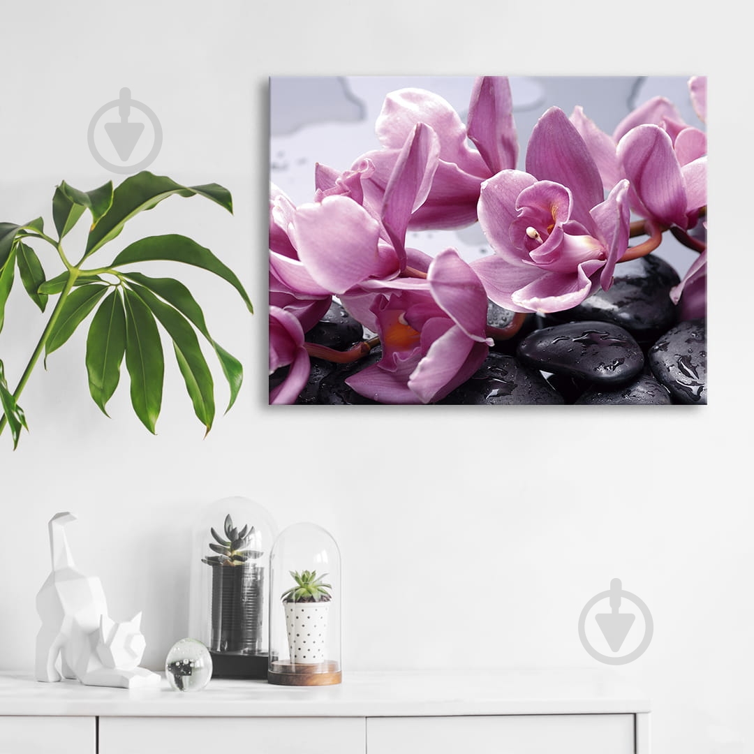Картина Орхидея 60x45 см WallArt 54363-1.2 - фото 2 Картина Орхидея 60x45 см WallArt 54363-1.2 - фото 2