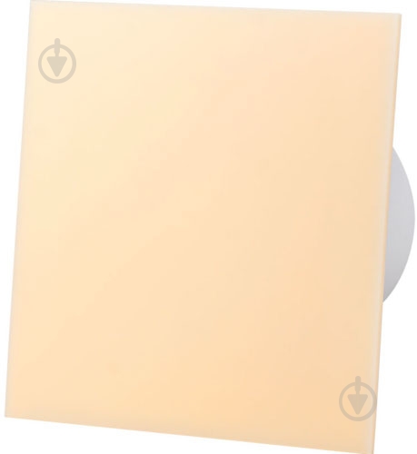 Декоративная панель AirRoxy BIEGE Plexi (01-165) - фото 2