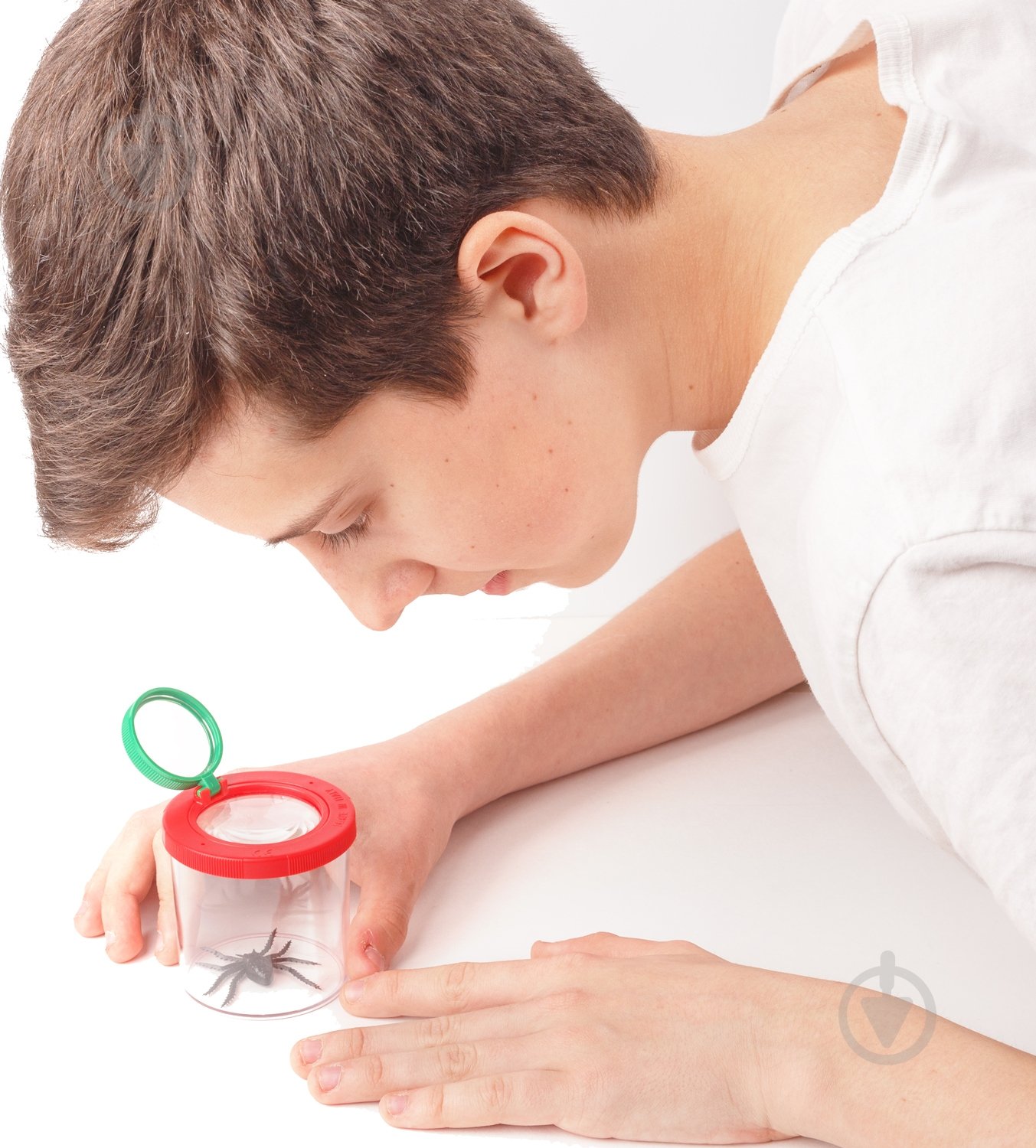 Контейнер Navir для жуков 8020 - фото 3