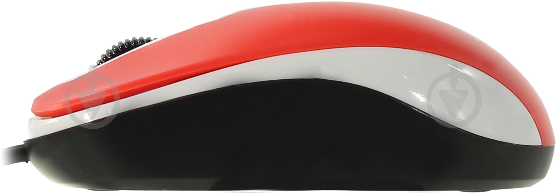 Мышь Genius DX-110 USB (31010116104) red - фото 4 Мышь Genius DX-110 USB (31010116104) red - фото 4